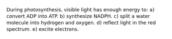 During photosynthesis, visible light has enough energy to: a) convert ADP into ATP. b) synthesize NADPH. c) split a water molecule into hydrogen and oxygen. d) reflect light in the red spectrum. e) excite electrons.