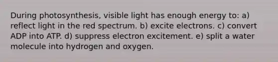 During photosynthesis, visible light has enough energy to: a) reflect light in the red spectrum. b) excite electrons. c) convert ADP into ATP. d) suppress electron excitement. e) split a water molecule into hydrogen and oxygen.