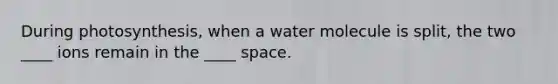 During photosynthesis, when a water molecule is split, the two ____ ions remain in the ____ space.