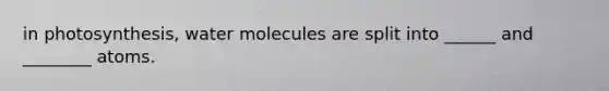 in photosynthesis, water molecules are split into ______ and ________ atoms.