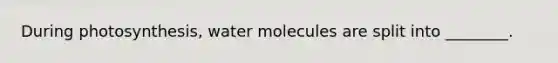 During photosynthesis, water molecules are split into ________.