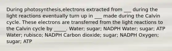 During photosynthesis,electrons extracted from ___ during the <a href='https://www.questionai.com/knowledge/kSUoWrrvoC-light-reactions' class='anchor-knowledge'>light reactions</a> eventually turn up in ___ made during the Calvin cycle. These electrons are transferred from the light reactions to the Calvin cycle by _____. Water; sugar; NADPH Water; sugar; ATP Water; rubisco; NADPH Carbon dioxide; sugar; NADPH Oxygen; sugar; ATP