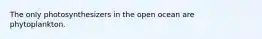 The only photosynthesizers in the open ocean are phytoplankton.