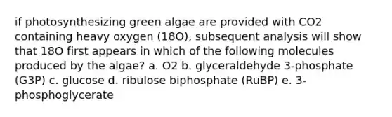 if photosynthesizing green algae are provided with CO2 containing heavy oxygen (18O), subsequent analysis will show that 18O first appears in which of the following molecules produced by the algae? a. O2 b. glyceraldehyde 3-phosphate (G3P) c. glucose d. ribulose biphosphate (RuBP) e. 3-phosphoglycerate