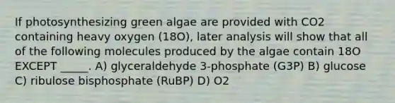 If photosynthesizing green algae are provided with CO2 containing heavy oxygen (18O), later analysis will show that all of the following molecules produced by the algae contain 18O EXCEPT _____. A) glyceraldehyde 3-phosphate (G3P) B) glucose C) ribulose bisphosphate (RuBP) D) O2