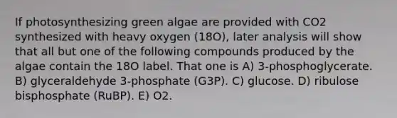 If photosynthesizing green algae are provided with CO2 synthesized with heavy oxygen (18O), later analysis will show that all but one of the following compounds produced by the algae contain the 18O label. That one is A) 3-phosphoglycerate. B) glyceraldehyde 3-phosphate (G3P). C) glucose. D) ribulose bisphosphate (RuBP). E) O2.