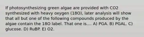 If photosynthesizing green algae are provided with CO2 synthesized with heavy oxygen (18O), later analysis will show that all but one of the following compounds produced by the algae contain the 18O label. That one is.... A) PGA. B) PGAL. C) glucose. D) RuBP. E) O2.