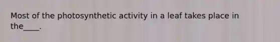 Most of the photosynthetic activity in a leaf takes place in the____.