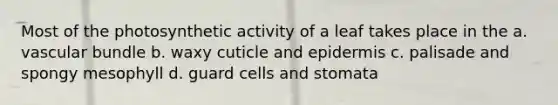 Most of the photosynthetic activity of a leaf takes place in the a. vascular bundle b. waxy cuticle and epidermis c. palisade and spongy mesophyll d. guard cells and stomata