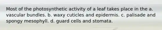 Most of the photosynthetic activity of a leaf takes place in the a. vascular bundles. b. waxy cuticles and epidermis. c. palisade and spongy mesophyll. d. guard cells and stomata.