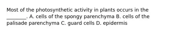 Most of the photosynthetic activity in plants occurs in the ________. A. cells of the spongy parenchyma B. cells of the palisade parenchyma C. guard cells D. epidermis