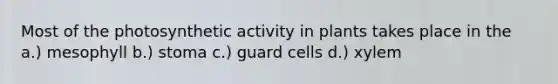 Most of the photosynthetic activity in plants takes place in the a.) mesophyll b.) stoma c.) guard cells d.) xylem