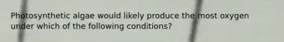 Photosynthetic algae would likely produce the most oxygen under which of the following conditions?