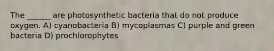 The ______ are photosynthetic bacteria that do not produce oxygen. A) cyanobacteria B) mycoplasmas C) purple and green bacteria D) prochlorophytes