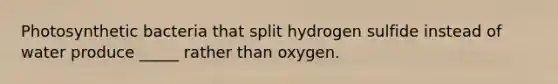 Photosynthetic bacteria that split hydrogen sulfide instead of water produce _____ rather than oxygen.