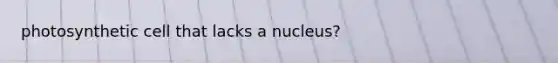 photosynthetic cell that lacks a nucleus?