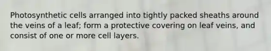 Photosynthetic cells arranged into tightly packed sheaths around the veins of a leaf; form a protective covering on leaf veins, and consist of one or more cell layers.