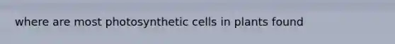 where are most photosynthetic cells in plants found