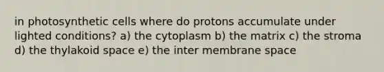 in photosynthetic cells where do protons accumulate under lighted conditions? a) the cytoplasm b) the matrix c) the stroma d) the thylakoid space e) the inter membrane space