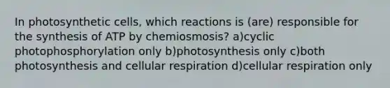 In photosynthetic cells, which reactions is (are) responsible for the synthesis of ATP by chemiosmosis? a)cyclic photophosphorylation only b)photosynthesis only c)both photosynthesis and cellular respiration d)cellular respiration only