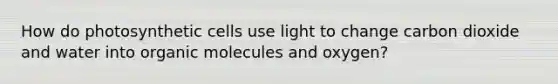 How do photosynthetic cells use light to change carbon dioxide and water into <a href='https://www.questionai.com/knowledge/kjUwUacPFG-organic-molecules' class='anchor-knowledge'>organic molecules</a> and oxygen?