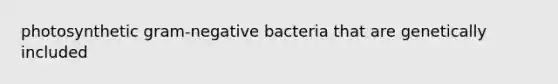 photosynthetic gram-negative bacteria that are genetically included