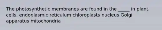 The photosynthetic membranes are found in the _____ in plant cells. endoplasmic reticulum chloroplasts nucleus Golgi apparatus mitochondria