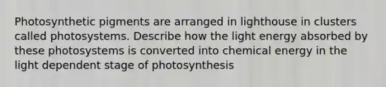 Photosynthetic pigments are arranged in lighthouse in clusters called photosystems. Describe how the light energy absorbed by these photosystems is converted into chemical energy in the light dependent stage of photosynthesis