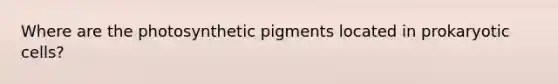 Where are the photosynthetic pigments located in prokaryotic cells?