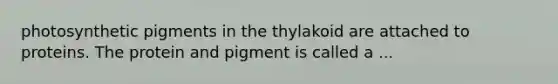 photosynthetic pigments in the thylakoid are attached to proteins. The protein and pigment is called a ...