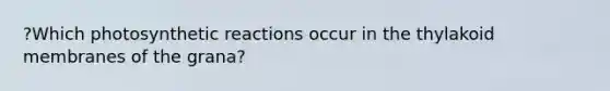 ?Which photosynthetic reactions occur in the thylakoid membranes of the grana?