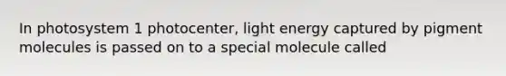 In photosystem 1 photocenter, light energy captured by pigment molecules is passed on to a special molecule called