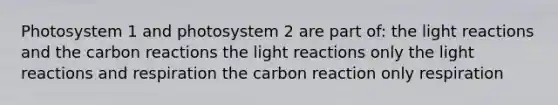 Photosystem 1 and photosystem 2 are part of: the light reactions and the carbon reactions the light reactions only the light reactions and respiration the carbon reaction only respiration