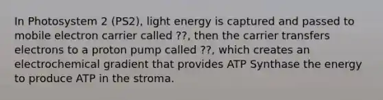 In Photosystem 2 (PS2), light energy is captured and passed to mobile electron carrier called ??, then the carrier transfers electrons to a proton pump called ??, which creates an electrochemical gradient that provides ATP Synthase the energy to produce ATP in the stroma.