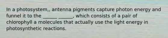In a photosystem,, antenna pigments capture photon energy and funnel it to the ______ ______, which consists of a pair of chlorophyll a molecules that actually use the light energy in photosynthetic reactions.
