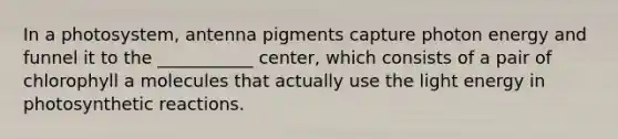 In a photosystem, antenna pigments capture photon energy and funnel it to the ___________ center, which consists of a pair of chlorophyll a molecules that actually use the light energy in photosynthetic reactions.