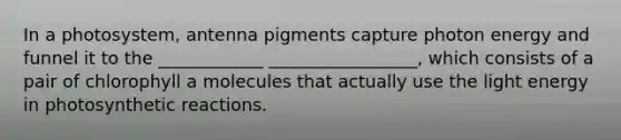 In a photosystem, antenna pigments capture photon energy and funnel it to the ____________ _________________, which consists of a pair of chlorophyll a molecules that actually use the light energy in photosynthetic reactions.