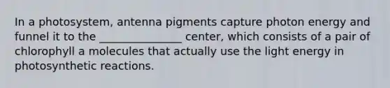 In a photosystem, antenna pigments capture photon energy and funnel it to the _______________ center, which consists of a pair of chlorophyll a molecules that actually use the light energy in photosynthetic reactions.