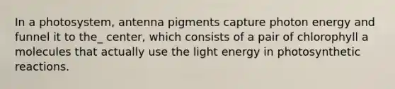 In a photosystem, antenna pigments capture photon energy and funnel it to the_ center, which consists of a pair of chlorophyll a molecules that actually use the light energy in photosynthetic reactions.