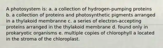 A photosystem is: a. a collection of hydrogen-pumping proteins b. a collection of proteins and photosynthetic pigments arranged in a thylakoid membranne c. a series of electron-accepting proteins arranged in the thylakoid membrane d. found only in prokaryotic organisms e. multiple copies of chlorophyll a located in the stroma of the chloroplast.