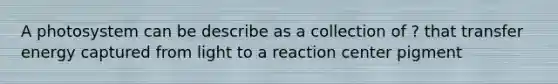 A photosystem can be describe as a collection of ? that transfer energy captured from light to a reaction center pigment