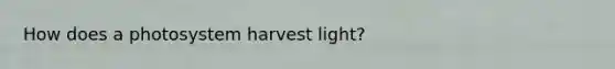 How does a photosystem harvest light?