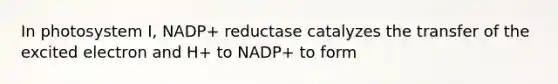 In photosystem I, NADP+ reductase catalyzes the transfer of the excited electron and H+ to NADP+ to form