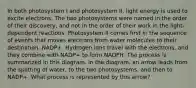 In both photosystem I and photosystem II, light energy is used to excite electrons. The two photosystems were named in the order of their discovery, and not in the order of their work in the light-dependent reactions. Photosystem II comes first in the sequence of events that moves electrons from water molecules to their destination, NADP+. Hydrogen ions travel with the electrons, and they combine with NADP+ to form NADPH. The process is summarized in this diagram. In the diagram, an arrow leads from the splitting of water, to the two photosystems, and then to NADP+. What process is represented by this arrow?