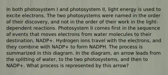 In both photosystem I and photosystem II, light energy is used to excite electrons. The two photosystems were named in the order of their discovery, and not in the order of their work in the light-dependent reactions. Photosystem II comes first in the sequence of events that moves electrons from water molecules to their destination, NADP+. Hydrogen ions travel with the electrons, and they combine with NADP+ to form NADPH. The process is summarized in this diagram. In the diagram, an arrow leads from the splitting of water, to the two photosystems, and then to NADP+. What process is represented by this arrow?