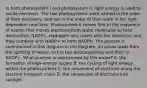 In both photosystem I and photosystem II, light energy is used to excite electrons. The two photosystems were named in the order of their discovery, and not in the order of their work in the light-dependent reactions. Photosystem II comes first in the sequence of events that moves electrons from water molecules to their destination, NADP+. Hydrogen ions travel with the electrons, and they combine with NADP+ to form NADPH. The process is summarized in this diagram.In the diagram, an arrow leads from the splitting of water, to the two photosystems, and then to NADP+. What process is represented by this arrow? A. the formation of high-energy sugars B. the cycling of light energy within the photosystems C. the movement of electrons along the electron transport chain D. the conversion of electrons into sunlight