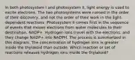 In both photosystem I and photosystem II, light energy is used to excite electrons. The two photosystems were named in the order of their discovery, and not the order of their work in the light-dependent reactions. Photosystem II comes first in the sequence of events that moves electrons from water molecules to their destination, NADP+. Hydrogen ions travel with the electrons, and they change NADP+ into NADPH. The process is summarized in this diagram. The concentration of hydrogen ions is greater inside the thylakoid than outside. Which reaction or set of reactions releases hydrogen ions inside the thylakoid?