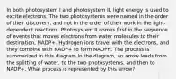 In both photosystem I and photosystem II, light energy is used to excite electrons. The two photosystems were named in the order of their discovery, and not in the order of their work in the light-dependent reactions. Photosystem II comes first in the sequence of events that moves electrons from water molecules to their destination, NADP+. Hydrogen ions travel with the electrons, and they combine with NADP+ to form NADPH. The process is summarized in this diagram.In the diagram, an arrow leads from the splitting of water, to the two photosystems, and then to NADP+. What process is represented by this arrow?