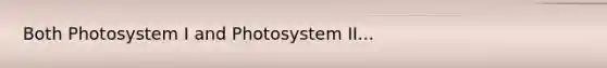 Both Photosystem I and Photosystem II...