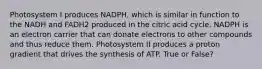 Photosystem I produces NADPH, which is similar in function to the NADH and FADH2 produced in the citric acid cycle. NADPH is an electron carrier that can donate electrons to other compounds and thus reduce them. Photosystem II produces a proton gradient that drives the synthesis of ATP. True or False?